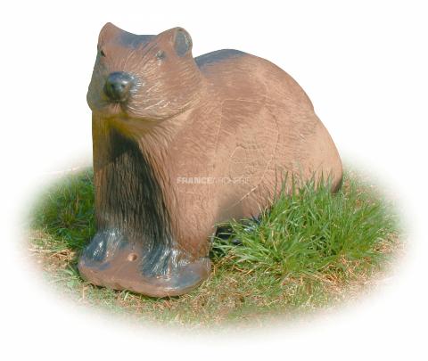A.A. Cible 3D Marmotte