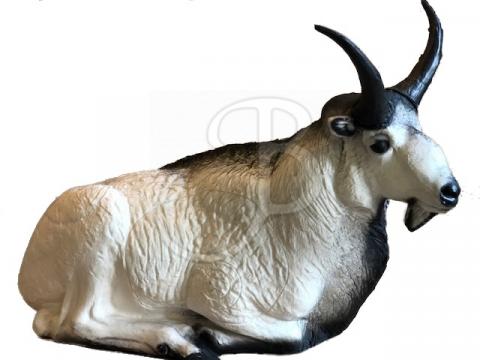 A.A. Cible 3D Chèvre des Montagnes Rocheuses