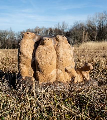 Rinehart Cible 3D Chiens de prairie