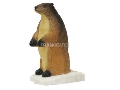 SRT Cible 3D Marmotte