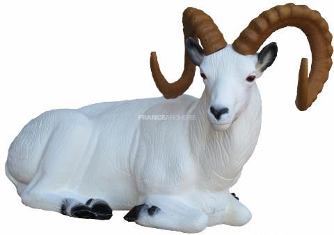 SRT Cible 3D Mouflon de Dall couché