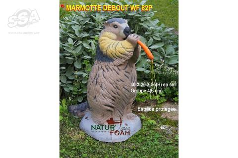 Natur Foam Cible 3D Marmotte debout